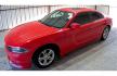 2019 Red Dodge Charger (2C3CDXBG1KH) , located at 2020 East Division Street, Arlington, TX, 76011, (817) 801-3191, 32.742390, -97.076874 - Come view this Fire Red Dodge Charger today! Premiere Buy Here Pay Here with NO Credit Check (score) at 2020 East Division Street, Arlington, Texas, located in the center of the Dallas/Fort Worth metro area. For in-house financing in Lancaster, Waxahachie, Cleburne, Sherman, Denton, McKinney, Wac - Photo#0